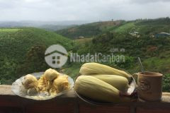 6 sào đất vườn view thung lũng thôn 10 xã lộc nam, huyện bảo lâm, lâm đồng giá 1,45 tỷ