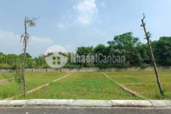 Chính chủ cần bán mảnh đất 100m2 đối diện bãi biển quất lâm và tập đoàn flamingo