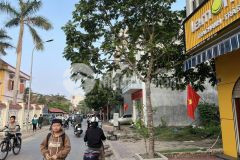 Bán đất kinh doanh buôn bán sầm uất mặt phố tây hào, ph ngọc châu, tp hd, 75m2, mt 5m