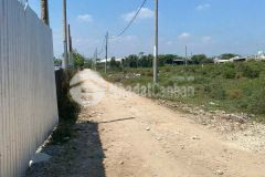 1150m2 đất hẻm 2 xã vĩnh lộc b, bình chánh giá 7 tỷ