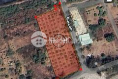 Bán lô đất góc 2 mặt tiền biển, tt. cần thạnh, cần giờ 41 x 100, giá 30 triệum2.