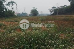 Đất nhuận trạch, lương sơn, hòa bình 1760m2, giá 9 tỷ