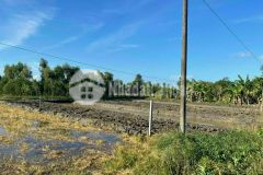 Bán đất lớn chiều ngang rộng trên 30m quốc lộ 61c quận cái răng cần thơ giá dưới 5 tỷ