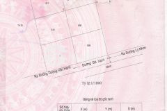 Bán đất thổ cư lý nhơn, x. lý nhơn, cần giờ 30 x 33, giá 4,1 tỷ.