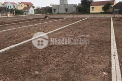 Cần bán 2 mảnh đất 90m2 giá chỉ 11trm2