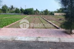 Do cần tiền nên chính chủ bán gấp lô giao phong sát biển giá cực tốt