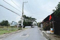 203 m2 đất mặt tiền phùng thị chuyện, xã thới tam thôn, hóc môn giá 7 tỷ