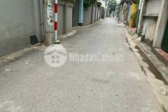 Đất đẹp 2 mặt thoáng đường ô tô kiêu kỵ gia lâm dt 51m2. giá 4.95 tỷ