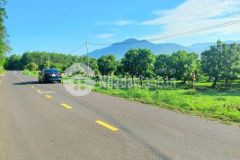 Bán đất mặt tiền tỉnh lộ 8 diên lâm diên khánh tặng vườn xoài đã thu hoạch