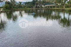 Bán đất 4ha xã thanh hưng, điện biên vị trí đẹp, đường nhựa ô tô tận vườn lh0868862862