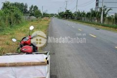 Bán đất gò công tây tiền giang, đất trồng câu lâu năm, pháp lý chuẩn, giá từ 2ty100 lh0975629934.