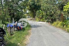 Cần tiền bán gấp miếng đất thổ cư 123m2 ở xã tân an hội củ chi giá 600 triệu.