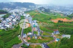 Cần bán lô đất nền biệt thự view đẹp đường hoàng hoa thám, p10, đà lạt 480m2 giá chỉ 12 tỷ