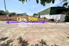 Đất mặt hẻm 442 y moan 11 x 50m pháp lý nông nghiệp