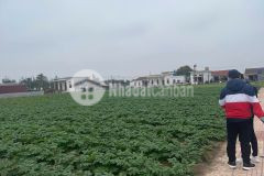 Chính chủ cần sang nhượng lô đất 94m2 nằm ngay sát mặt biển sẵn thổ cư sổ đỏ sổ hồng rõ ràng