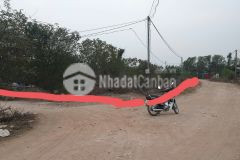 Bán đất 50 năm thanh trì, sổ đỏ sang tên, phù hợp trang trại nhà vườn,