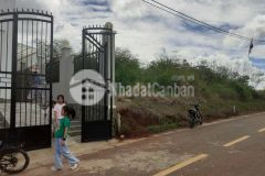 Đất đẹp xuân thọ chờ chủ mới