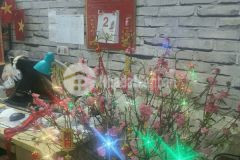 Cần bán gấp chcc phòng 4134 toà hh2a linh đàm, hoàng mai hà nội