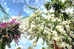 Bá.n nền đẹp 90m² đường b3 kdc phú an, cái răng, tp cần thơ.