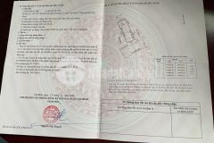 Bán đất hxh nguyễn sỹ sách, p.15, tân bình 4 x 12, giá 5,4 tỷ