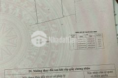 Bán đất đường xương cá số 2, x.lý nhơn, cần giờ 45 x 45, giá 10 tỷ.