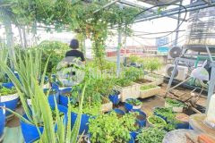 Nhà phố khu vạn xuân, tô ngọc vân, 4pn,sân để xe hơi.full tiện ích.chỉ 7.5 tỷ.