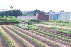 Bán mảnh đất 337m2 song phương hoài đức giá 2.3 tỷ