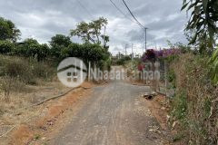 Lô đất giá rẻ thiện chí ninh gia, đức trọng, gần ngay khu dân cư