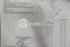 Bán đất mặt tiền hà quang vóc, bình khánh, cần giờ 19 x 55, giá 13,6 tỷ