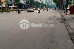 Bán nhà phố nguyễn thị định, thang máy, gara ôtô, kinh doanh, dt81m2, mt4m, 9tầng, nhỉnh 29 tỷ.