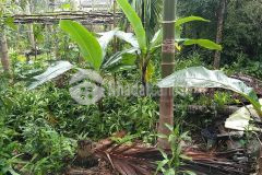 Bán 100m2 đất vị trí đẹp tại tt huế, sổ hồng chính chủ, giá 5000trm2. lh0914560202.