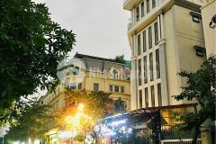 Bán gấp nhà phố nguyễn xiển, phân lô vỉa hèdt 110m2, 9tầng, mt 9m, 40tỷ