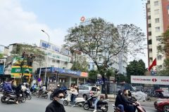 Bán đất mặt phố nguyễn lương bằng, q.đống đa, giá chỉ tầm 300trm2