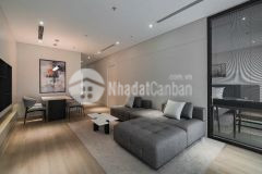 Bán nhà mặt phố phù đổng thiên vương 10 tầng thang máy long lanh hai bà trưng