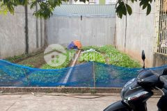 Đất đẹp hiếm giá rẻ cạnh đường ô tô ngõ phố phúc lợi dt 37.9m2. giá 4 tỷ