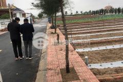 Chỉ còn 1 lô duy nhất trục chính 10m 86m2 2.3 tỷ