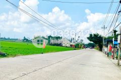 Hàng chính chủ lô nhà vườn ngang 11m nở hậu siêu hiếm giáp tp hội an