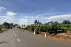 Bán 1417m2 đất mặt tiền đường lớn ngay sát trung tâm huyện ia grai. 1.39 tỷ. lh0909819363