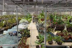 Bán đất ngũ nhạc 360m không sổ ô tô tránh kinh doanh hoàng mai