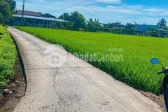 5x28 thổ cư mặt tiên đường bùi văn gà ấp 3 xã quê mỹ thạnh tân trụ