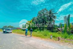 Mặt tiền nhựa 6m nguyễn thị lầu xã quê mỹ thạnh tân trụ, long an