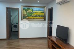 Chung cư eurowindow, hàng xóm cầu tứ liên, anh em vin cổ loa