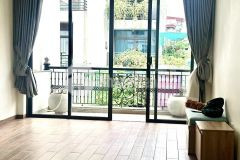 Nhà đẹp trong chợ đồng cổ, bưởi, tây hồ kinh doanh đỉnh 63 mv, 4t, mt 4m, giá 21,8 tỷ