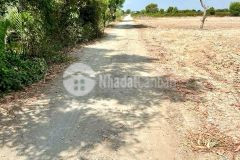 Bán đất đất thổ cư lý nhơn, cần giờ 25 x 37 3.254m, giá 9,7 tỷ