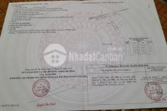 Bán lô đất lương văn nho, cần thạnh, cần giờ 9 x 22, giá 4,4 tỷ.