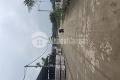 Đất đẹp hiếm giá rẻ đường to khu đấu giá đình tổ thuận thành dt 81m2. giá 33 triệu m2