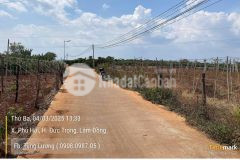 Bán đất 2 mặt hẻm petong 5m phú hội đức trọng