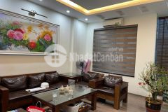 Bán nhà nguyễn xiển. thanh xuân. ô tô. vỉa hè. dt 50m2. mt 4,5m. 5 tầng. giá 16,9 tỷ.