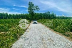 Bán đất vườn diên xuân giá rẻ gần trục đường liên xã cách dân chỉ 900m