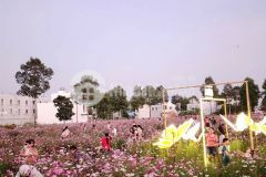 Chủ gửi giá bán 2 tỷ 950 triệu nền view siêu đẹp ngay quảng trường vườn hoa khách check in